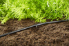Linia kroplująca do rzędów roślin – zestaw M – 25 m Gardena