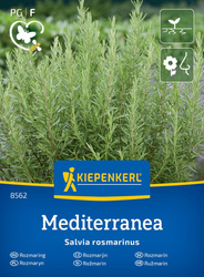 Rozmaryn Mediterranea - Kiepenkerl