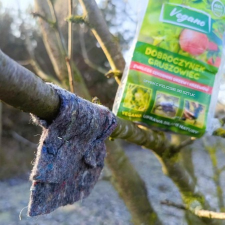 Dobroczynek gruszowy - opaski filcowe Vegano 30 szt.