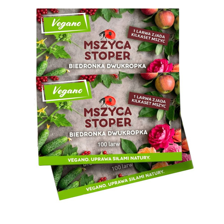Mszyca Stoper - 300 larw biedronki