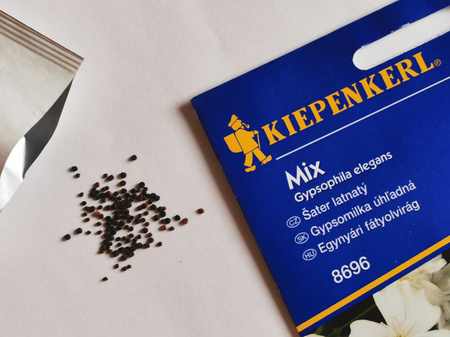 Gipsówka - Mix  Nasiona - Kiepenkerl