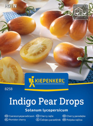 Pomidor cherry Indigo Kiepenkerl