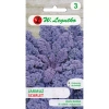Jarmuż Czerwony Scarlet 1 g - Legutko 