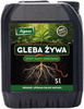 Gleba żywa - efekt pracy dżdżownic 5 l Vegano