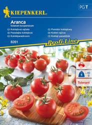 Pomidor koktajlowy Aranca F1 Solanum lycopersicum