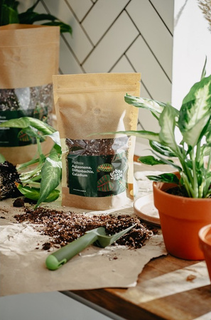 Podłoże do aglaonemy, diffenbachii, caladium 5 L - Urban Jungle