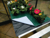 Mata kapilarna nawadniająca 200 cm x 60 cm – Garland
