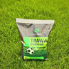 Trawa sportowa Green Star 