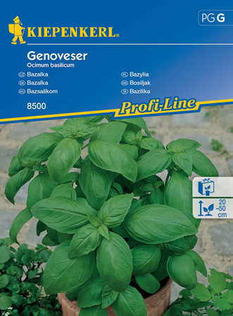 Bazylia Genoveser – Kiepenkerl