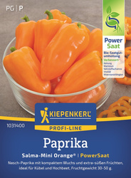 Papryka 'Salama-Mini Orange' F1 - Nasiona Otoczkowane - Kiepenkerl