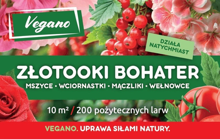 Złotooki bohater Vegano - 600 larw - 30 m2 ochrony