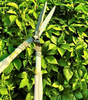 Nożyce do żywopłotu 21cm Green Star