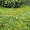 Zraszacz obrotowy 3-ramienny Green Star