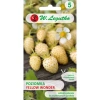 Poziomka Żółta Yellow Wonder 0,1 g - Legutko 