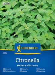 Melisa lekarska Citronella Kiepenkerl