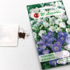Dzwonek karpacki – mix – 0,3 g Legutko