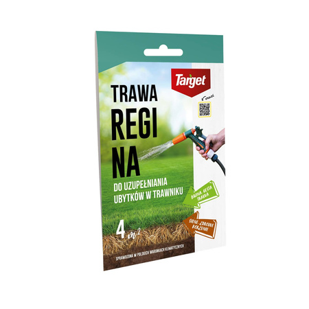 Regina 100 g nasiona trawy do uzupełniania ubytków w trawniku