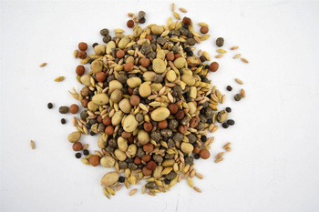 Mieszanka strączkowo-zbożowa POPLON 3 kg Agro-Nas
