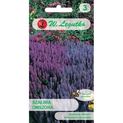 Szałwia Omszona 0,10 g - Legutko