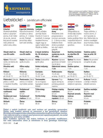 Lubczyk ogrodowy