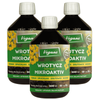 Wrotycz  MIKROACTIV + mikroorganizmy Vegano  - 1,5 L