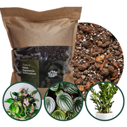 Podłoże do hoya, peperomii, zamioculcasa - 5 L Urban Jungle