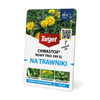 Chwastox Nowy Trio  390 SL 100 ml
