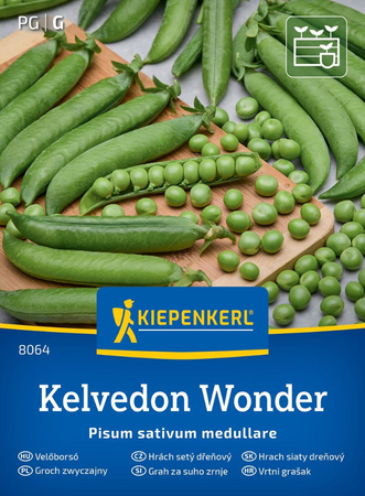 Groch siewny łuskowy Kelvedon Wonder Kiepenkerl