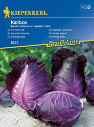 Kapusta czerwona Kalibos Brassica oleracea var. capitata f. rubra