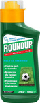 Roundup Antychwast - zwalcza mech na trawniku - koncentrat 500 ml