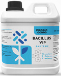 Bacillus VIP – Pożyteczne Mikroorganizmy – 2 l Probio Ogród
