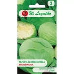 Kapusta Głowiasta Biała Brunświcka – 2 g Legutko 