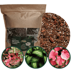 Podłoże do aglaonemy, diffenbachii, caladium 5 L - Urban Jungle
