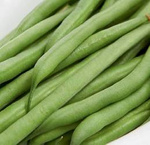 Fasola Karłowa 'Domino' – Odporna Na Choroby – Kiepenkerl