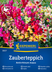 Lwia paszcza Zauberteppich - Kiepenkerl