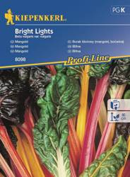 Boćwina, burak liściowy Bright Lights