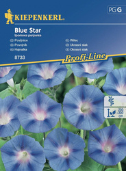 Wilec Blue Star – Kiepenkerl
