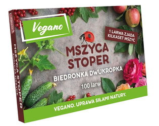 Mszyca Stoper - 100 larw biedronki 