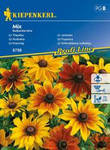 Jeżówka Mix Rudbeckia hirta