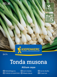 Cebula siedmiolatka , odmiana zimowa Tonda Musona Kiepenkerl