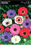 Kapers Anemon - Zawilec ‘De Caen’ Mix - 12 szt.