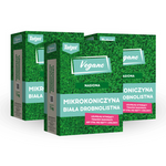 Mikrokoniczyna – nasiona – 3 kg Vegano