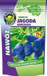 Nawóz Do Jagody Kamczackiej 1 kg - Ogród Start