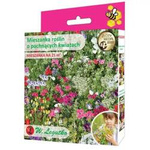 Mieszanka roślin o pachnących kwiatach – 125 g Legutko