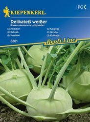 Kalarepa Delikateß weißer Brassica oleracea var. gongylodes