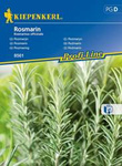 Rozmaryn Rosmarinus officinalis