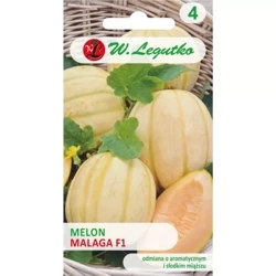 Melon Malaga F1 0,5 g - Legutko