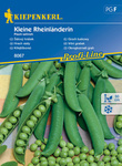 Groch łuskowy ,,Kleine Rheinländerin’’ – Kiepenkerl 