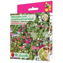 Mieszanka roślin o pachnących kwiatach – 125 g Legutko