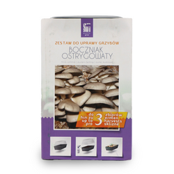 Zestaw do uprawy grzybów – Boczniak Ostrygowaty – 3 l Exotic Grow